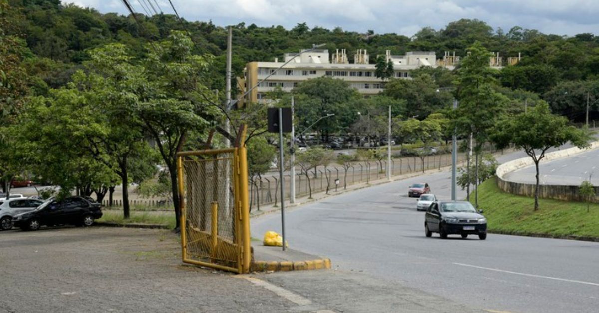 Organizadores da Stock Car em BH questionam corte de 5 mil árvores na área da UFMG