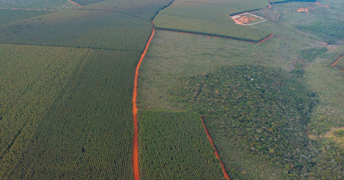 Mineira Reflorestar, de Turmalina, investe em eficiência energética