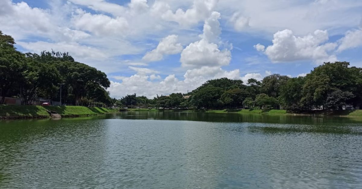 Relatório que avalia qualidade das águas na Lagoa da Pampulha e outros pontos é publicado; veja resultado