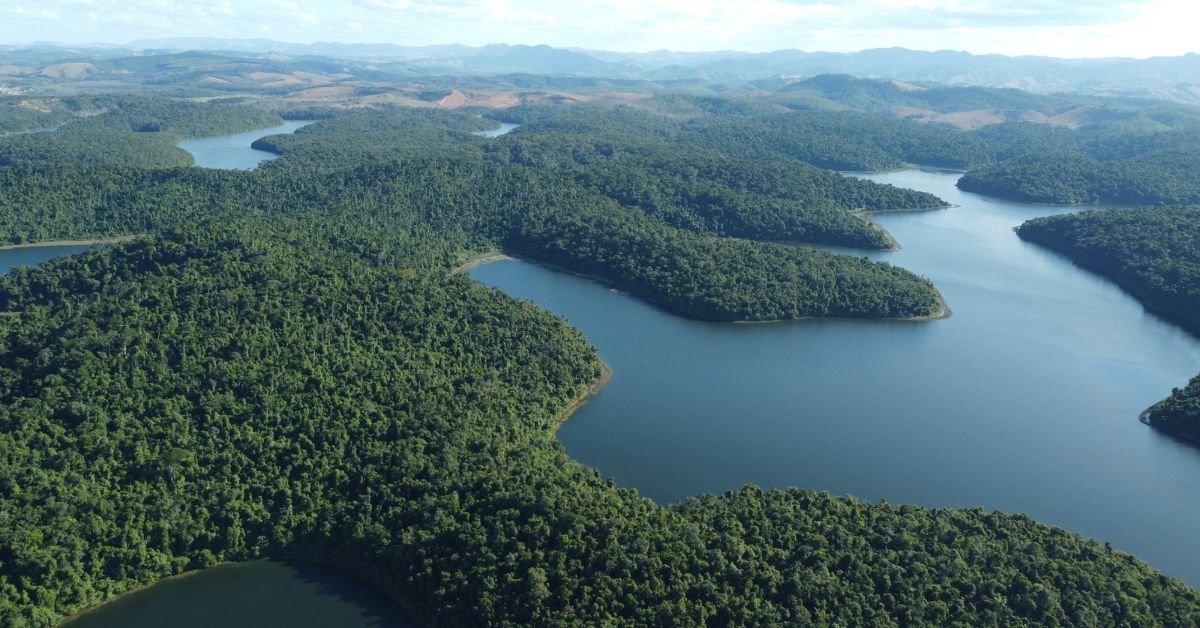 Parque Estadual do Rio Doce completa 80 anos com programação especial neste fim de semana