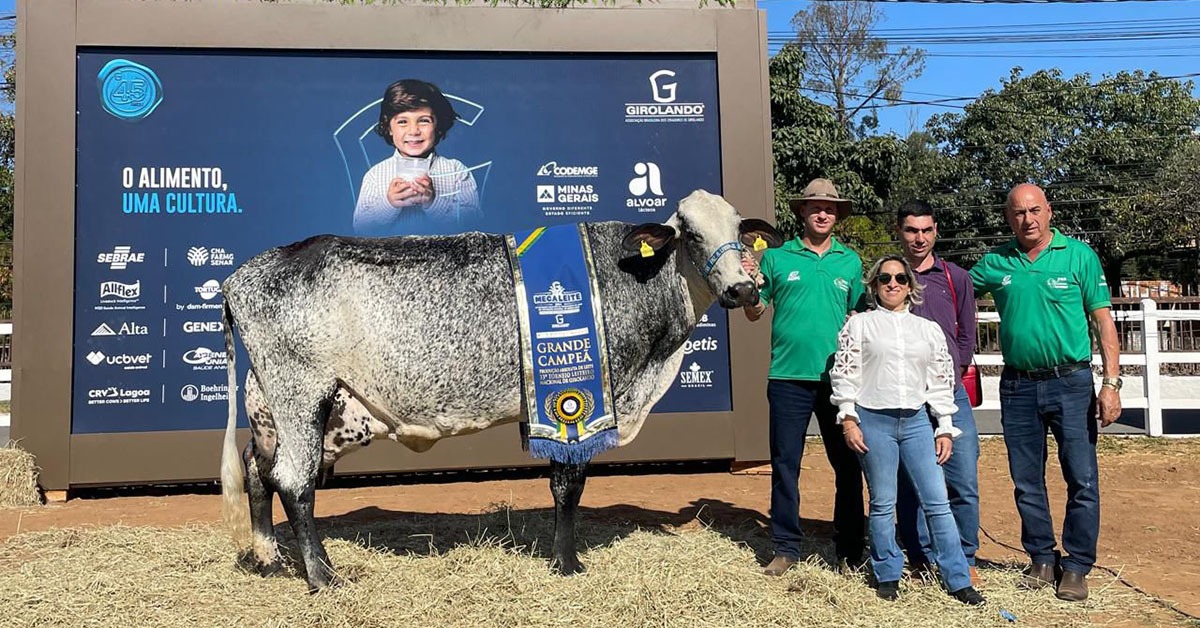 Campeãs e recordistas da Megaleite valorizam-se no mercado