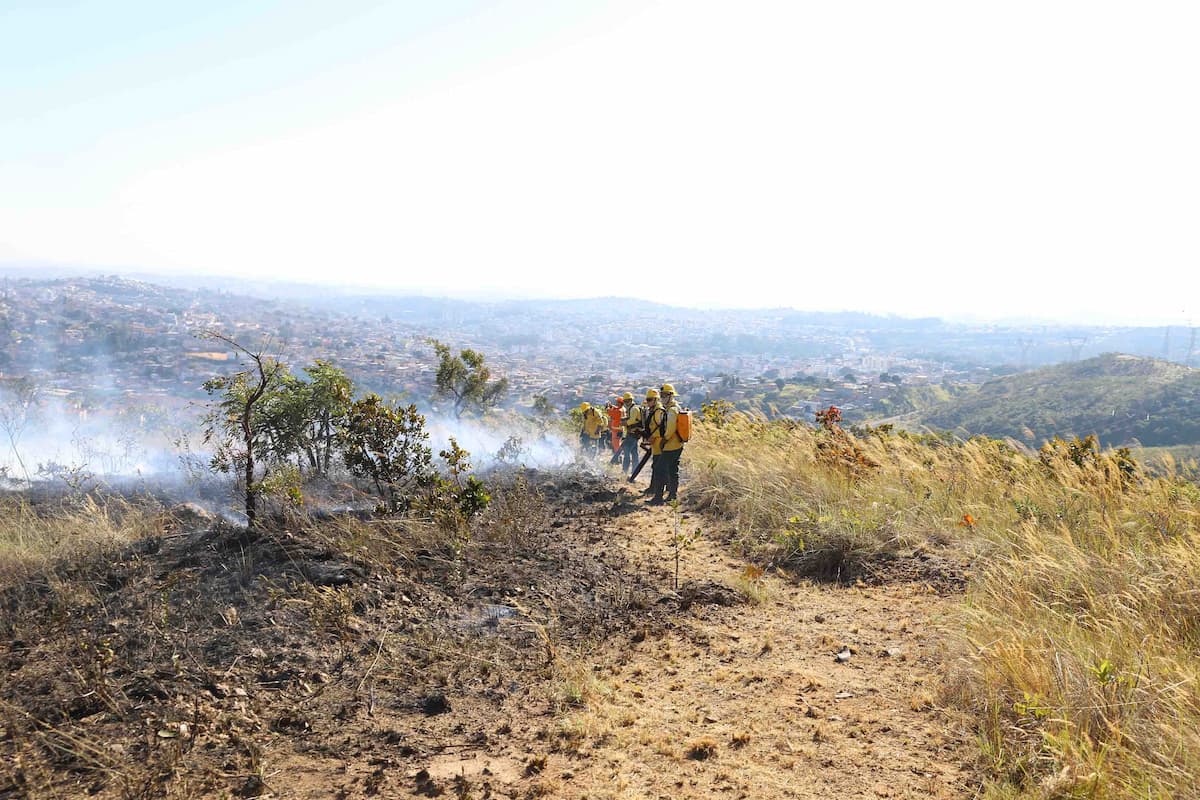 MPF aciona Justiça para contratação de brigadistas contra incêndios
