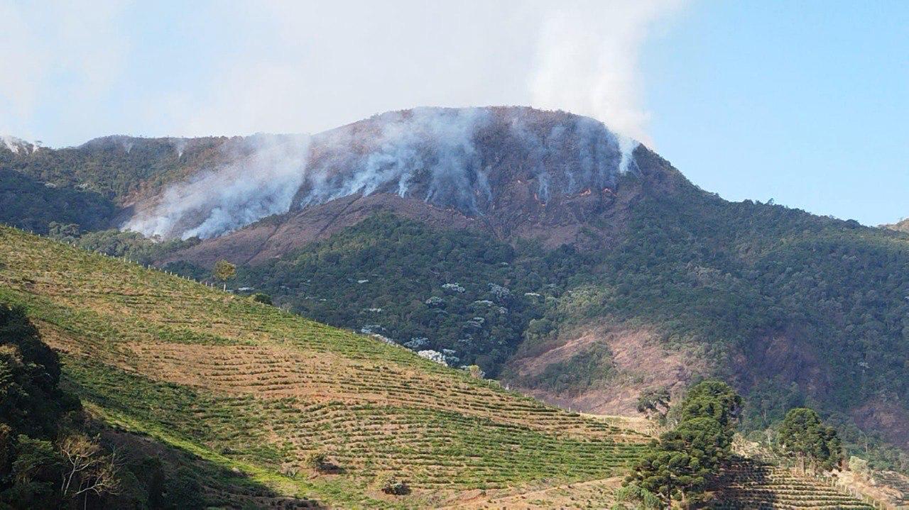 Estamos vivendo uma pandemia de incêndios