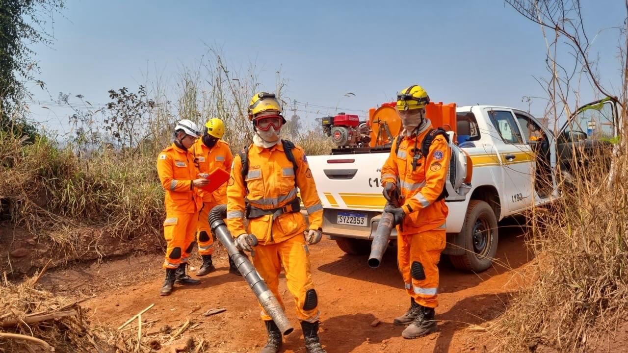 ​Impactos do fogo em Minas: combate a incêndios custa R$ 10 mi; veja principais desafios