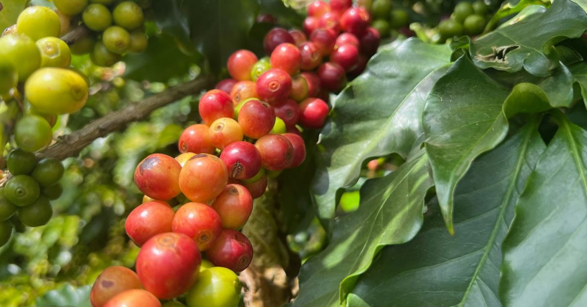 Minas Gerais registra superávit de US$ 15,4 bilhões na balança comercial