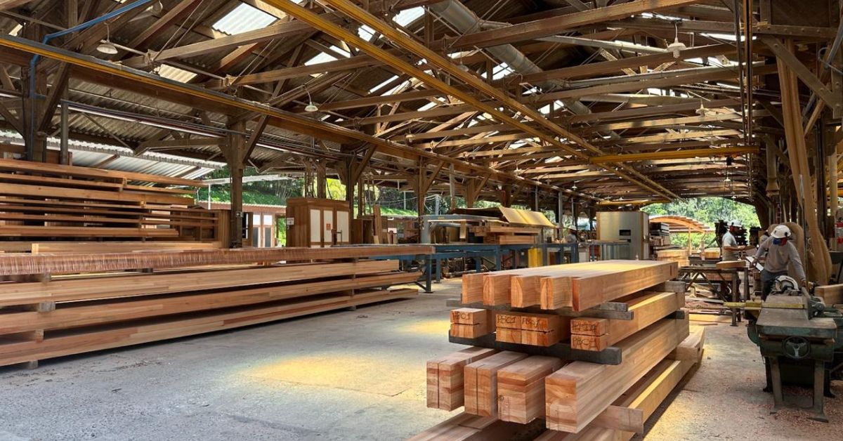 Diversidade dos produtos pode garantir protagonismo da agroindústria florestal mineira