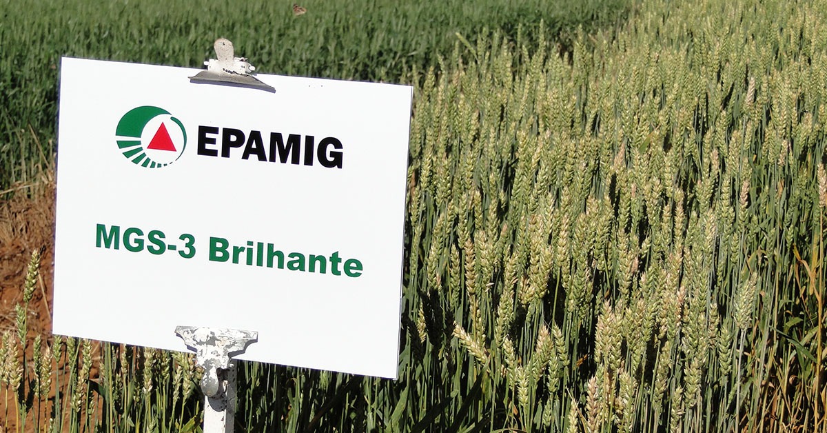 Epamig e Emater ficam entre os três melhores do agronegócio no país