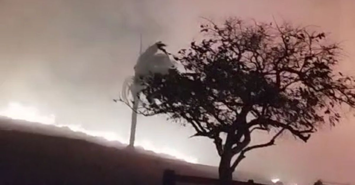Incêndios causam perdas na agricultura e na pecuária de Minas Gerais