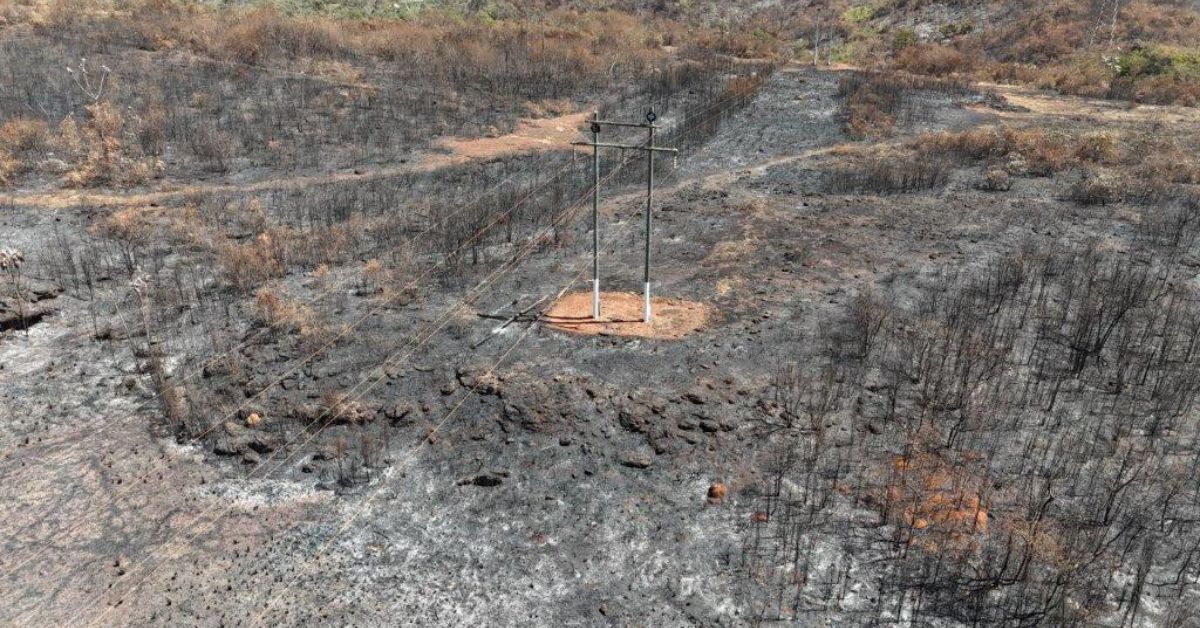 Queimadas em Minas Gerais já deixaram 700 mil pessoas sem luz neste ano
