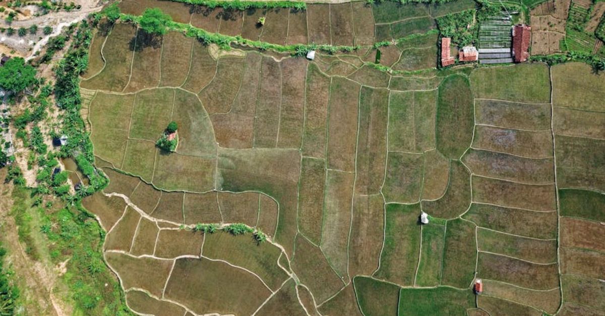 Smart Fazendas: app mapeia terrenos para fomentar compra e venda em regiões ‘agro’