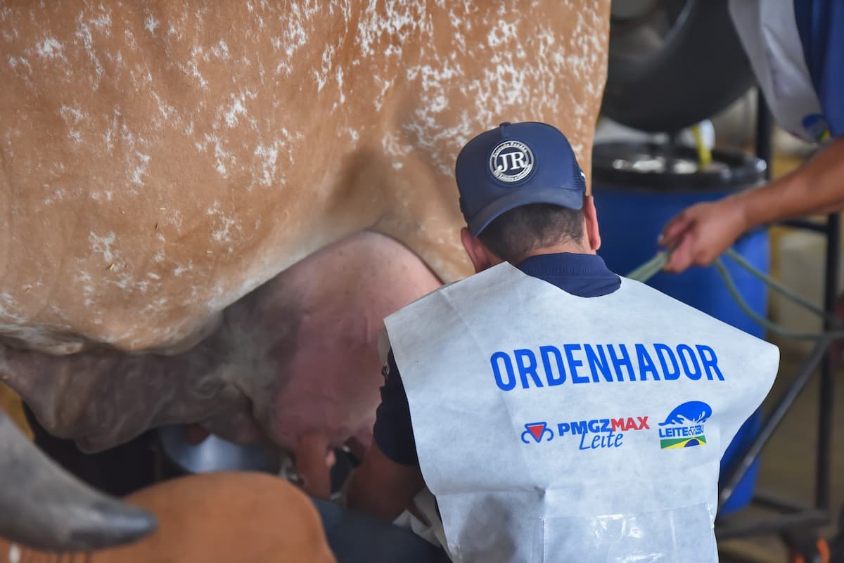 Veja como será a 2ª ExpoLeite em Uberaba, evento que reúne a cadeia produtiva leiteira
