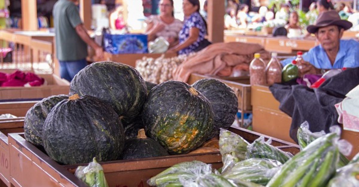 Nova lei prevê ações para garantir a saúde de agricultores familiares em Minas Gerais