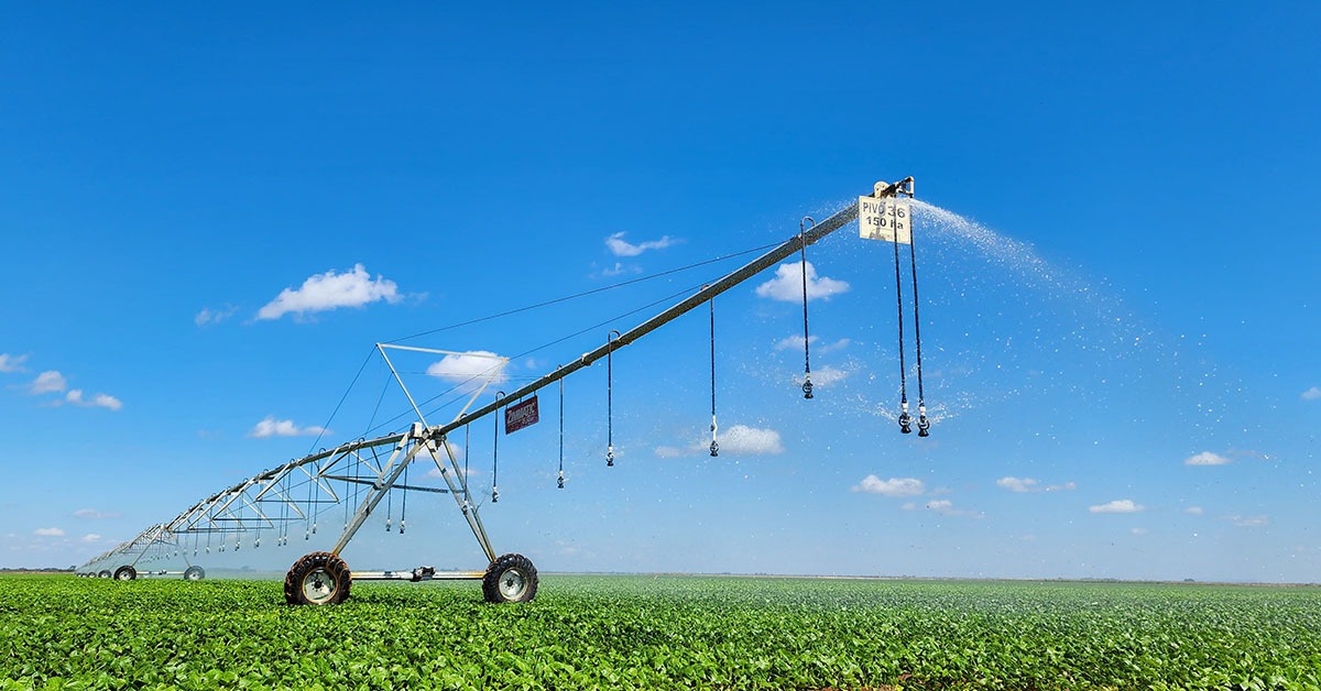 Agricultura irrigada apresenta novas perspectivas em Minas