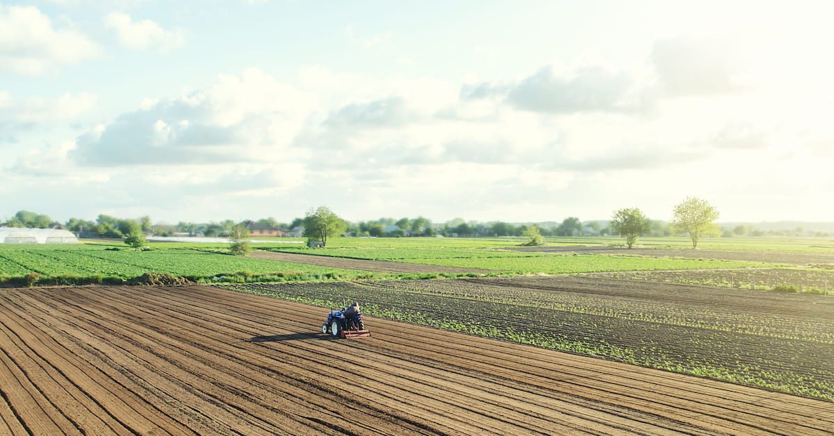 Acordo China-Mercosul pode prejudicar a indústria e favorecer o agro