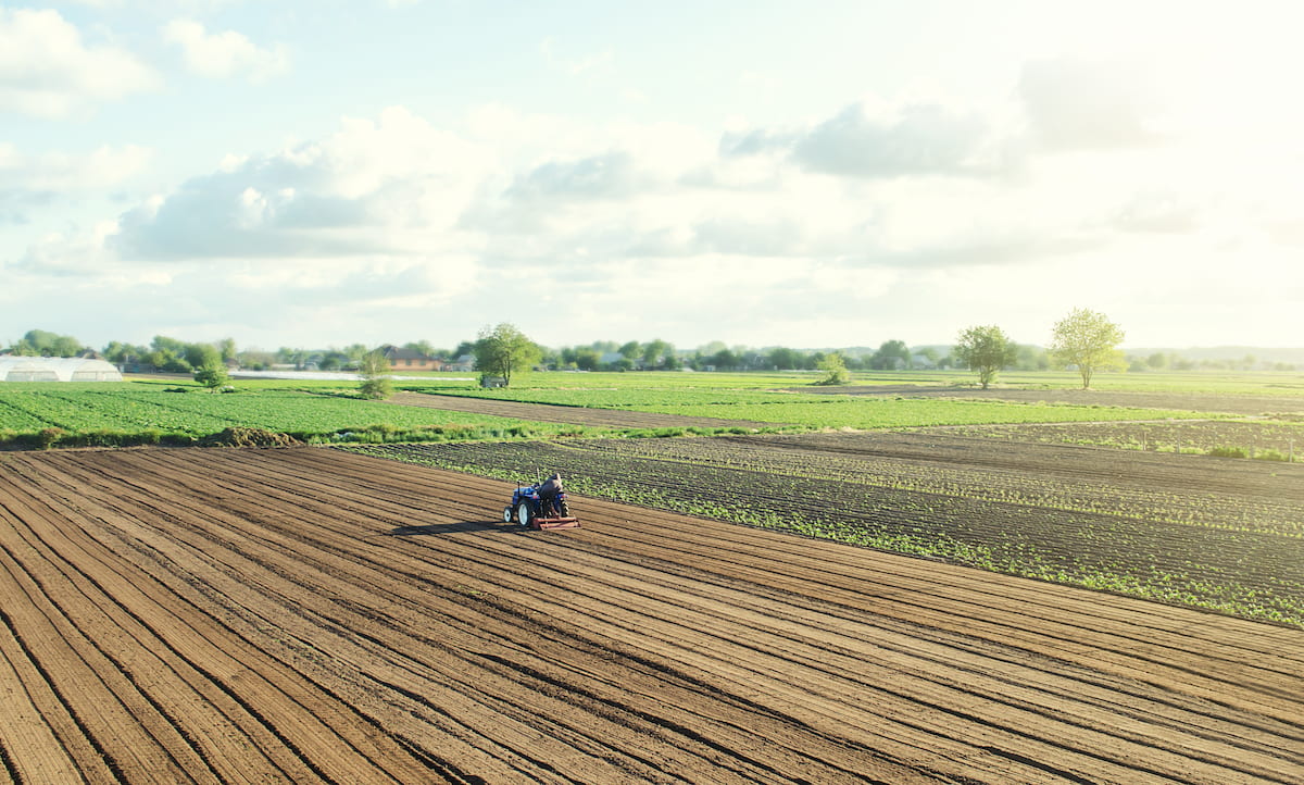 Acordo China-Mercosul pode prejudicar a indústria e favorecer o agro