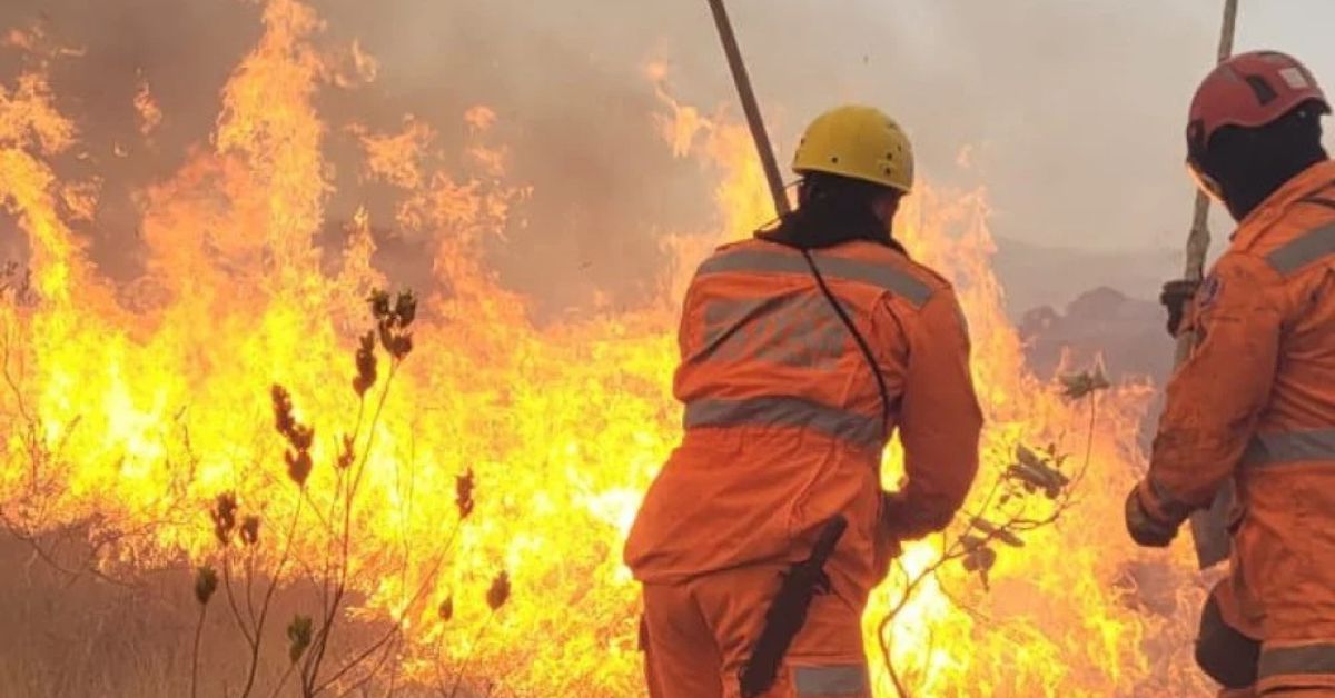 Corpo de Bombeiros abre 280 vagas temporárias para brigadistas florestais em Minas