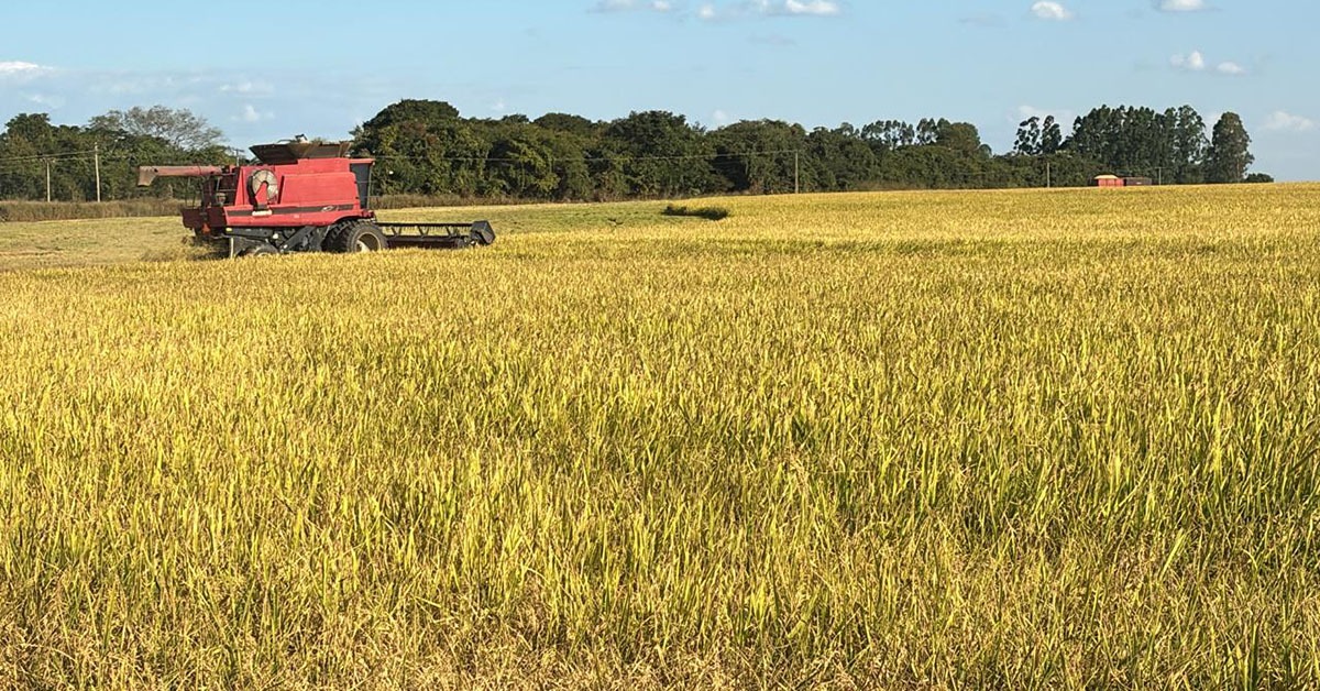 Buritizeiro caminha para ser um novo polo agrícola de Minas e do País