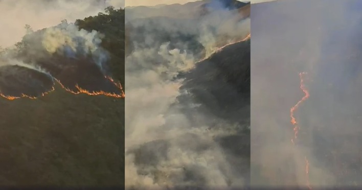 Queimadas florestais: Minas Gerais teve pior agosto em 13 anos