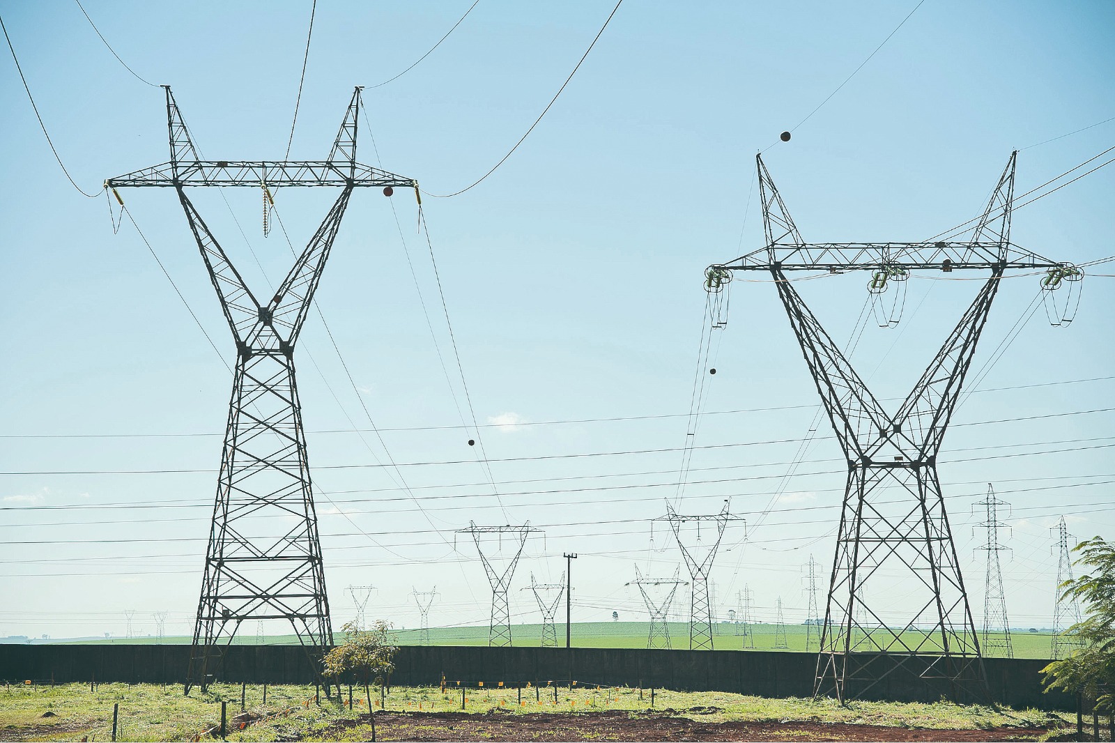 Migração para o mercado livre de energia em Minas deve se manter em alta durante 2025