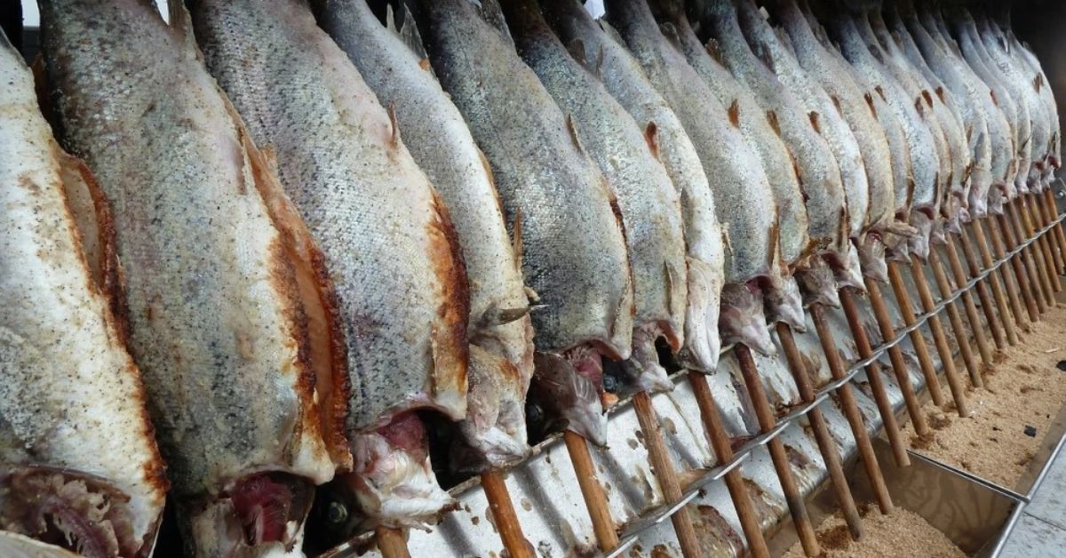 Peixe BR: tarifa de 50% dos EUA atinge diretamente o setor e é preciso restabelecer diálogo