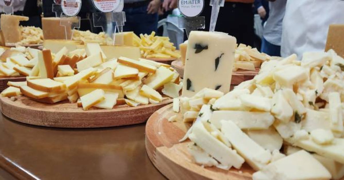 Alagoa, Aiuruoca e Canastra: veja a lista de campeões do Concurso dos Queijos Artesanais