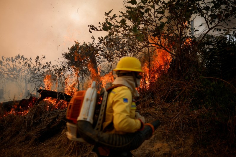 Marina Silva defende criação de marco regulatório de emergência climática