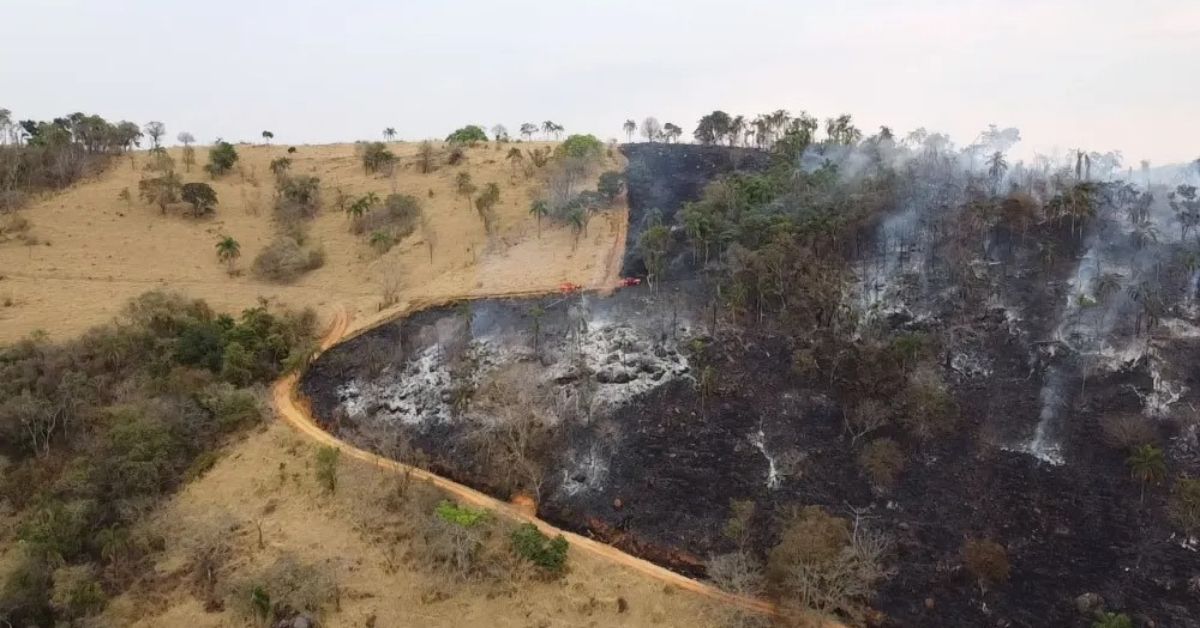 Como o Direito Ambiental pode ajudar a mitigar as queimadas no Brasil