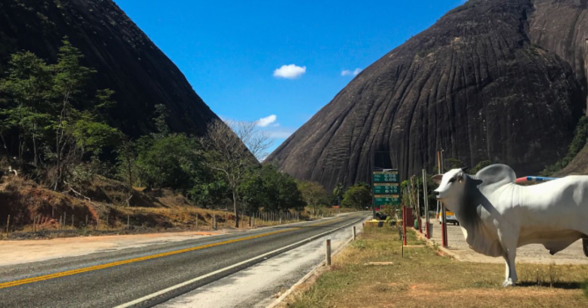 Governo de Minas conclui recuperação funcional da Rodovia do Boi