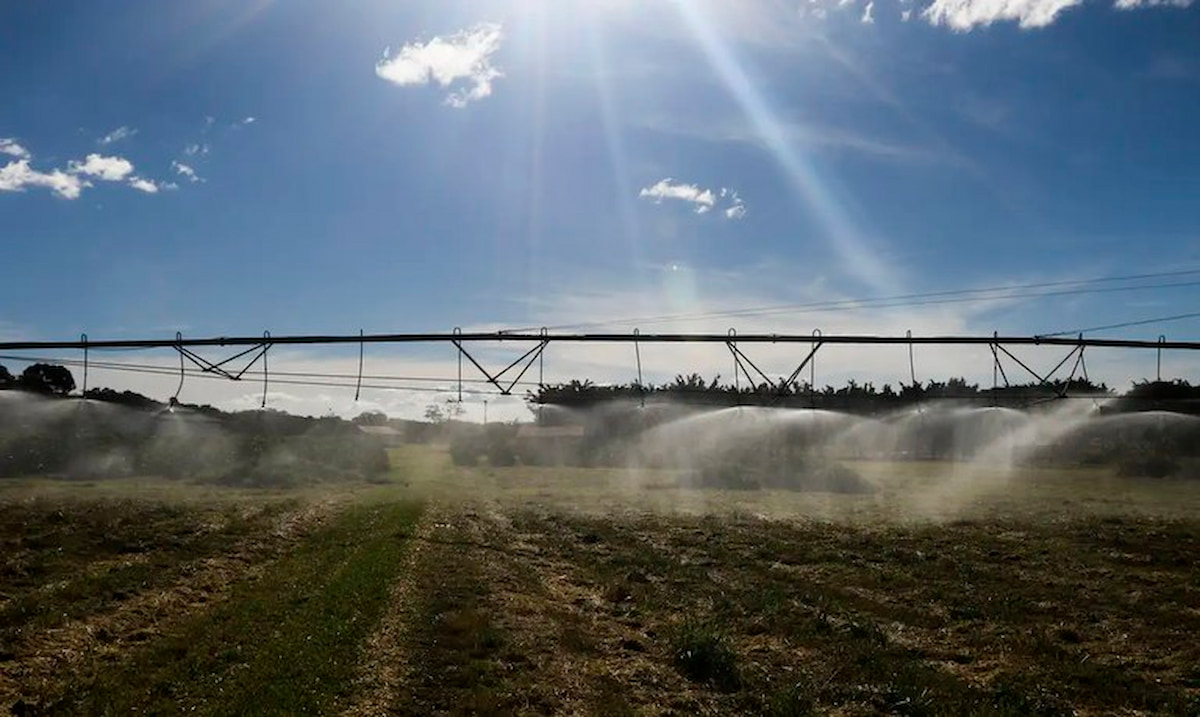 Veja a lista dos 100 municípios mais ricos do agronegócio