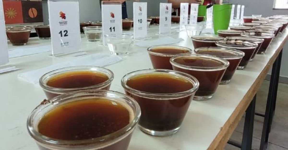 Conheça os classificados do Concurso de Qualidade dos Cafés de Minas Gerais