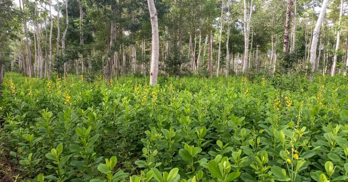 MPs discutem desafios digitais e mudanças climáticas