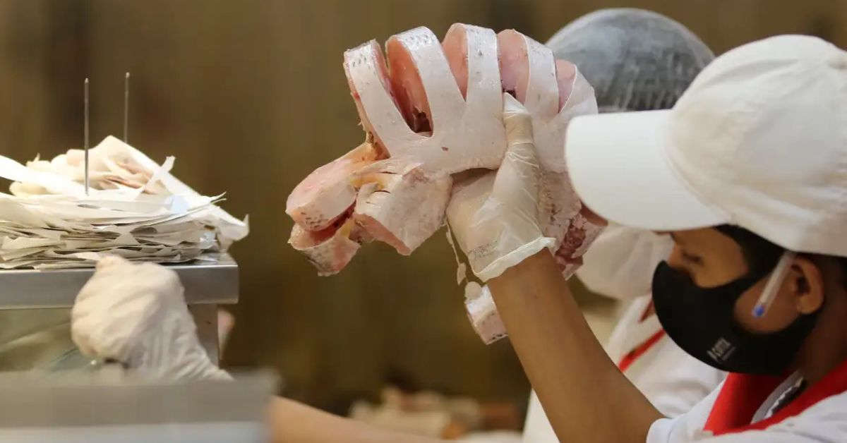 EUA diminuem burocracia para comprar pescados brasileiros