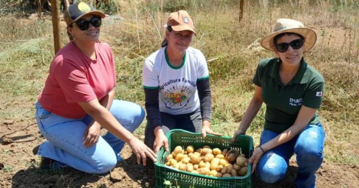 BDMG vai disponibilizar crédito com taxas abaixo da Selic para pequenas produtoras rurais de Minas