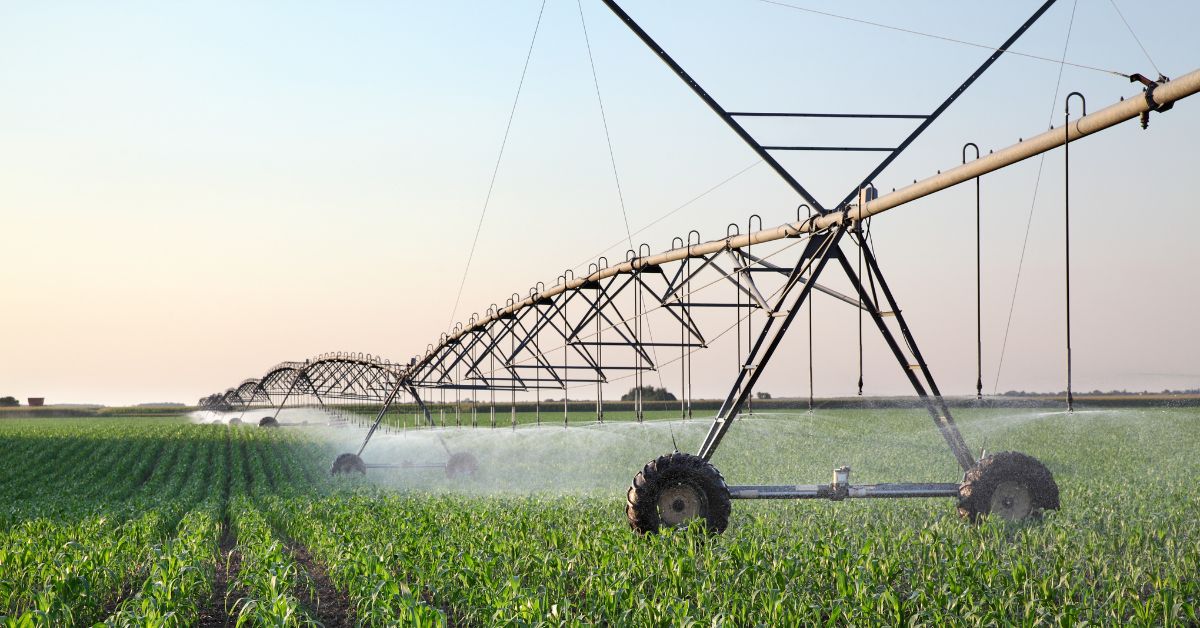 Clima, solo, fauna e flora em sinergia: a agricultura irrigada e os recursos hídricos