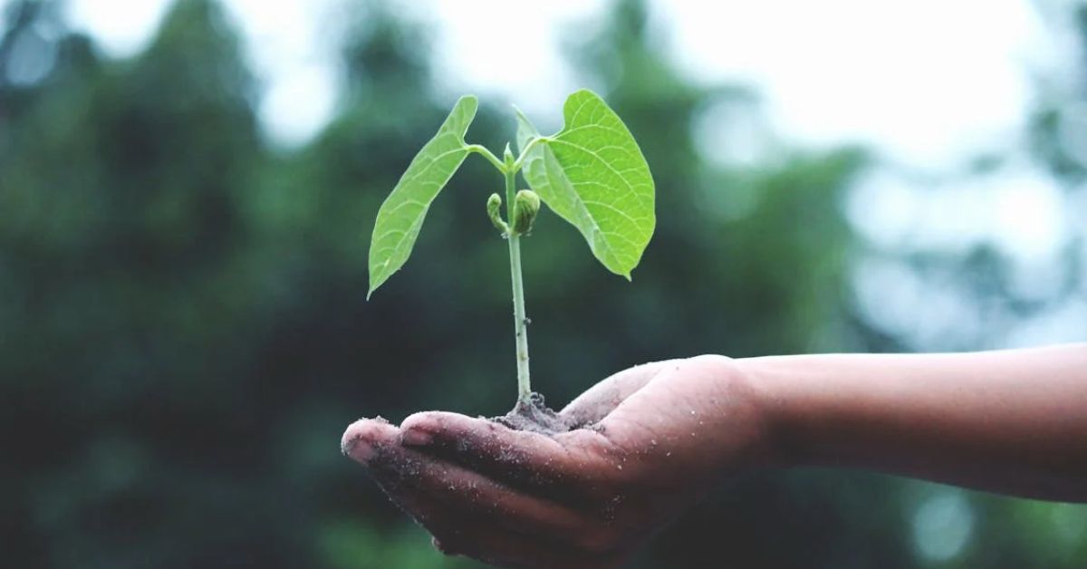 Indicadores para avaliar a sustentabilidade enfrentam um desafio de métrica