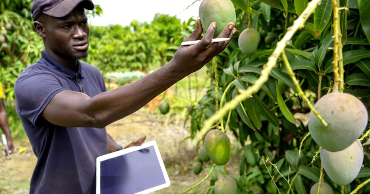 Conheça as novas ferramentas da Agricultura 5.0