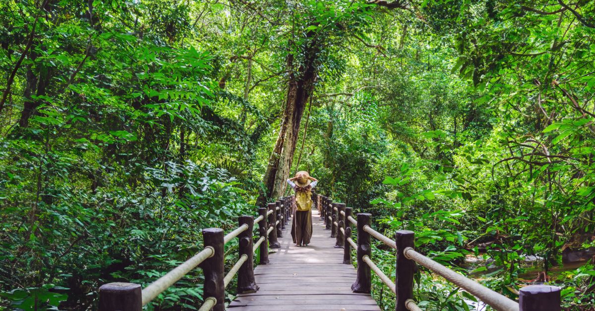 Turismo de experiência cresce no Brasil e abre novos mercados para os pequenos negócios