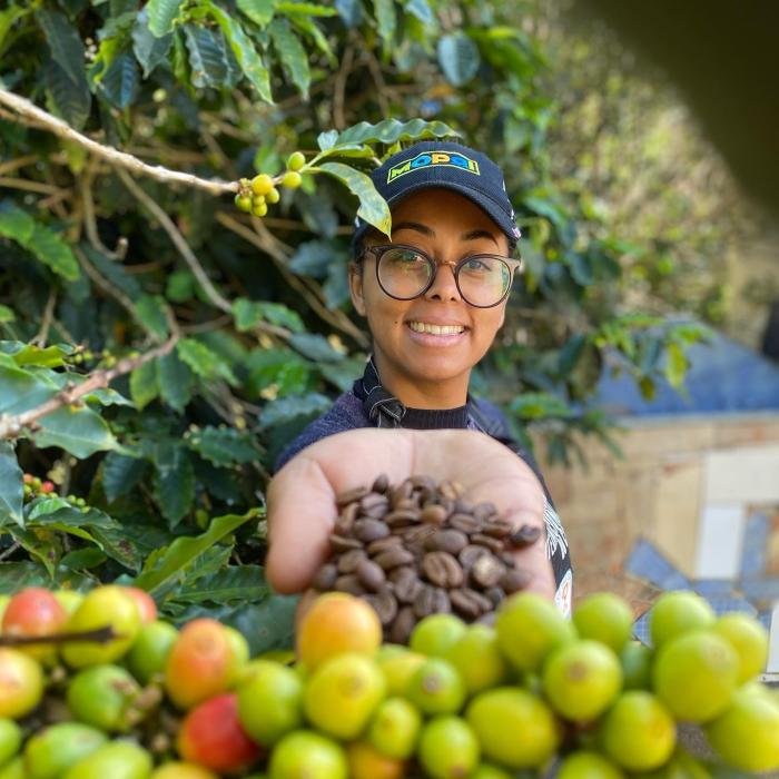 Cafeicultora mineira transforma ‘inimigo’ em ‘aliado’ e produz saca de café que vale R$ 34 mil 