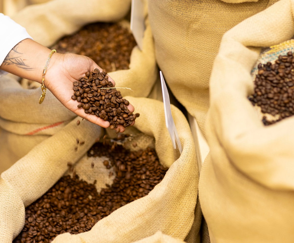 Brasil terá café para exportação e consumo em 2025, se chuvas continuarem, diz CNC