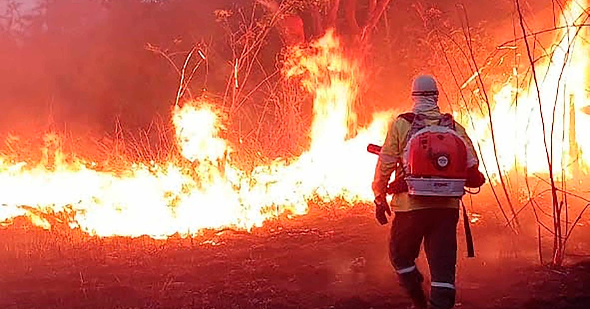 Minas é o quarto maior emissor de gases do efeito estufa no País