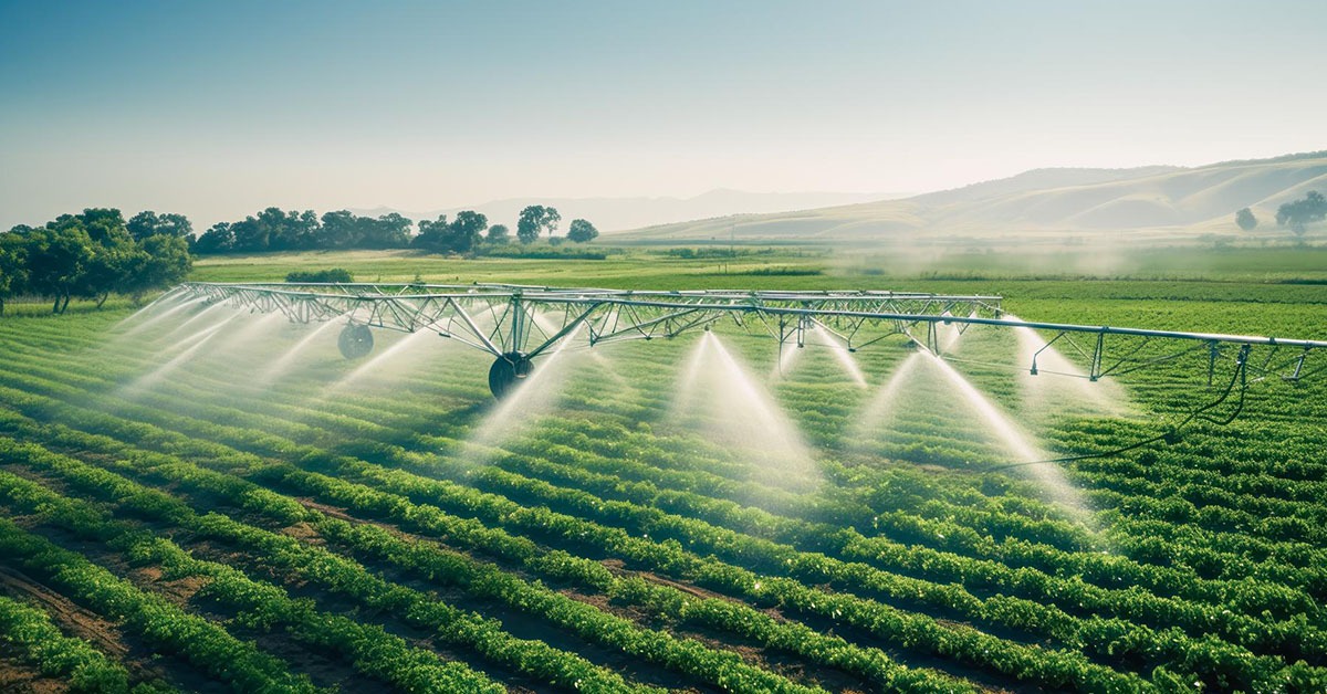 Minas regulamenta política de agricultura irrigada e mira aumento de produção com sustentabilidade