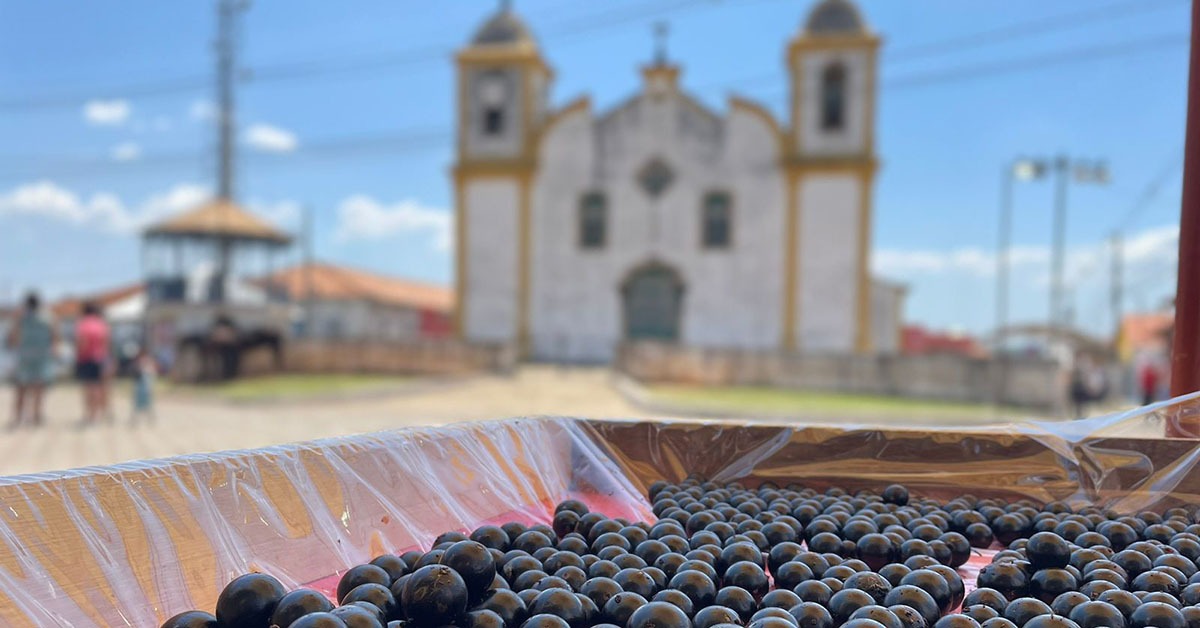 Região de Ouro Preto quer transformar a jabuticaba em um vetor de desenvolvimento