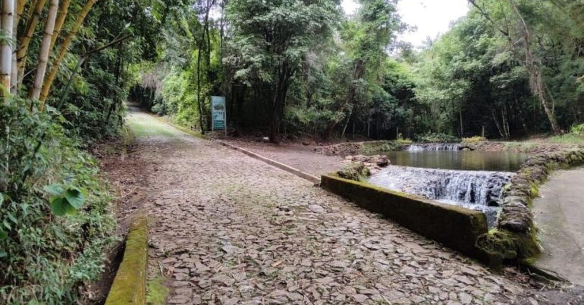 Trilha no Parque das Mangabeiras é reaberta após oito anos
