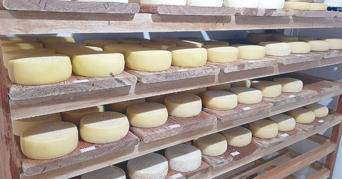 Feriado prolongado conta com a 1ª Rua do Queijo e do Patrimônio em BH