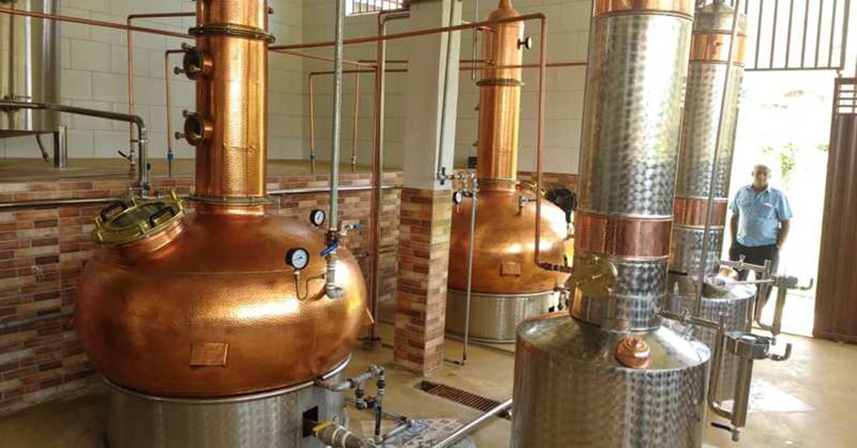 Produção de cachaça e queijo precisa solucionar gargalos para avançar