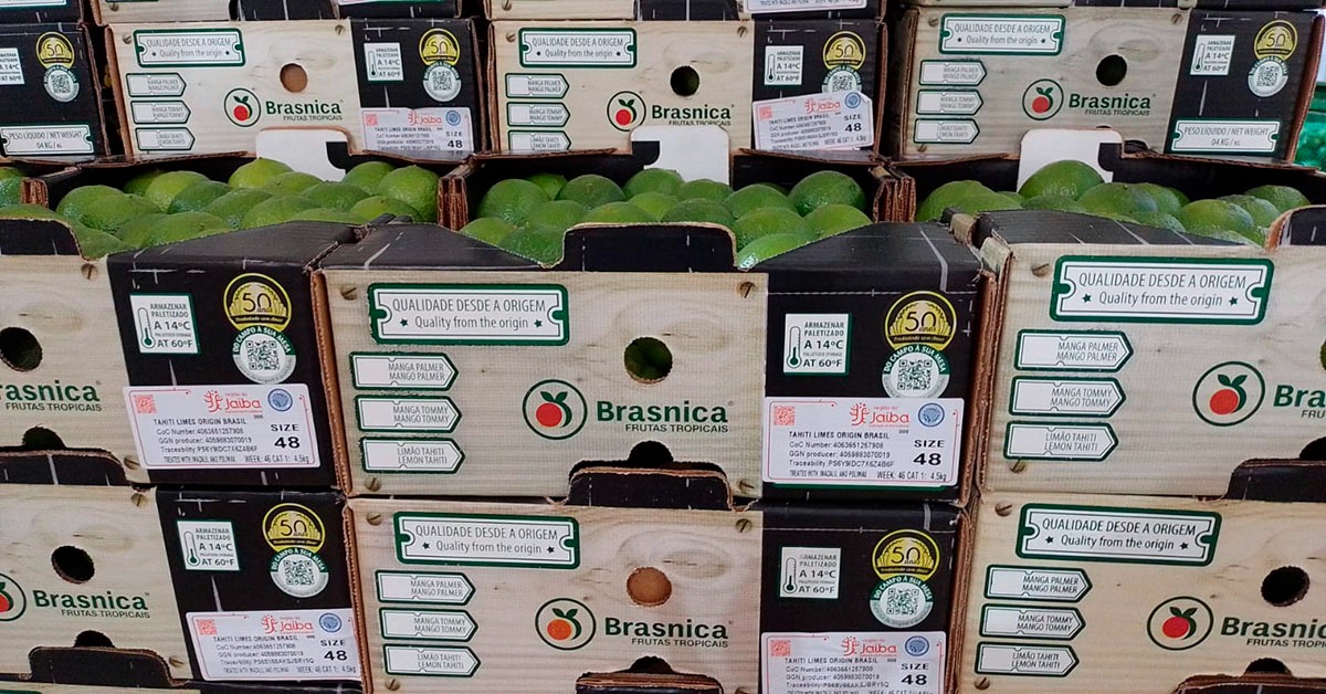 Abanorte retoma selagem de frutas produzidas na Região do Jaíba