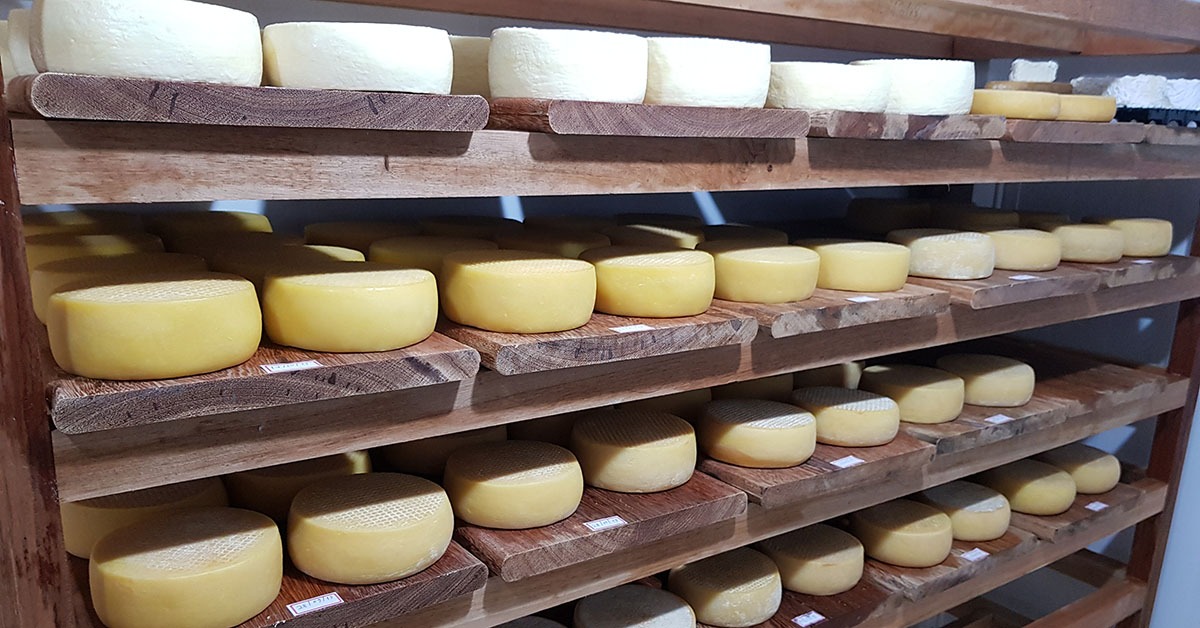 Produtores do Queijo Minas Artesanal esperam ampliar mercados com reconhecimento da Unesco