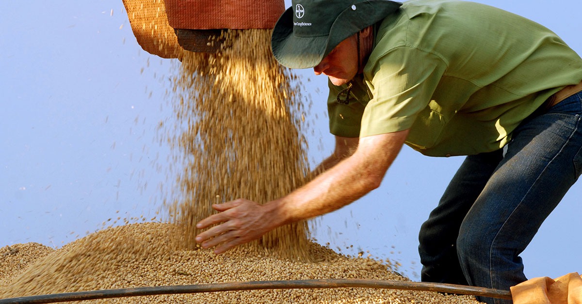 Conab prevê aumento de 6,5% na safra de grãos de Minas Gerais