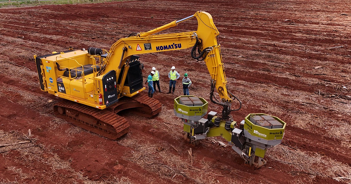 Reflorestar Soluções Florestais prevê aporte de R$ 40 milhões para 2025