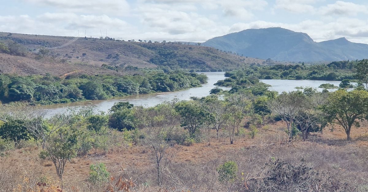 Projeto de terras-raras no Vale do Lítio tem potencial de classe mundial